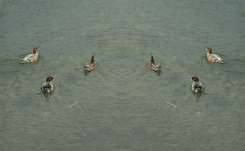 4pict0047_1.jpg